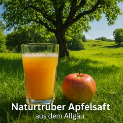 streuobstwiesen-apfelsaft-direktsaft-3l-1 streuobstwiesen-apfelsaft-direktsaft-3l-3l-naturtrueber-apfelsaft-von-eigener-zertifizierter-streuobstwiese-mit-ca